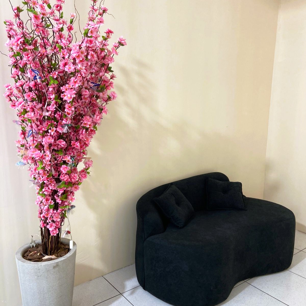 Iluminação profissional para procedimentos de beleza